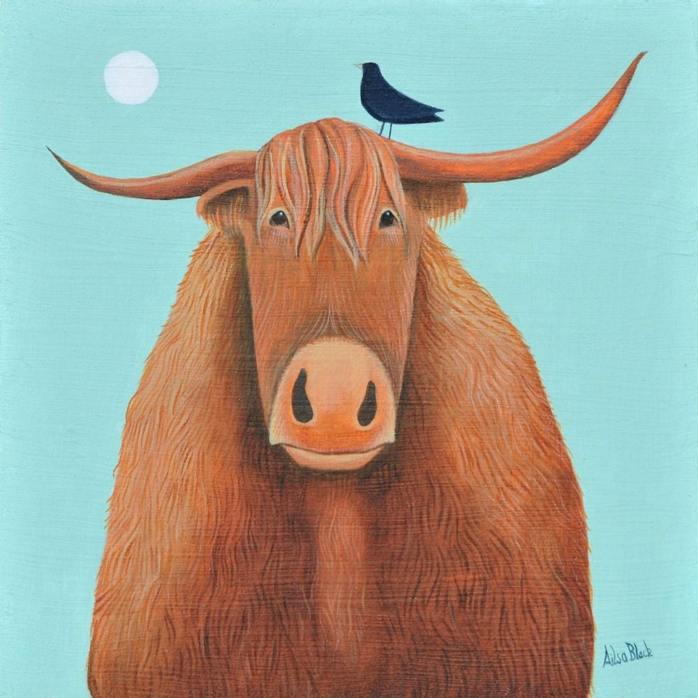 Broon coo Ailsa Black