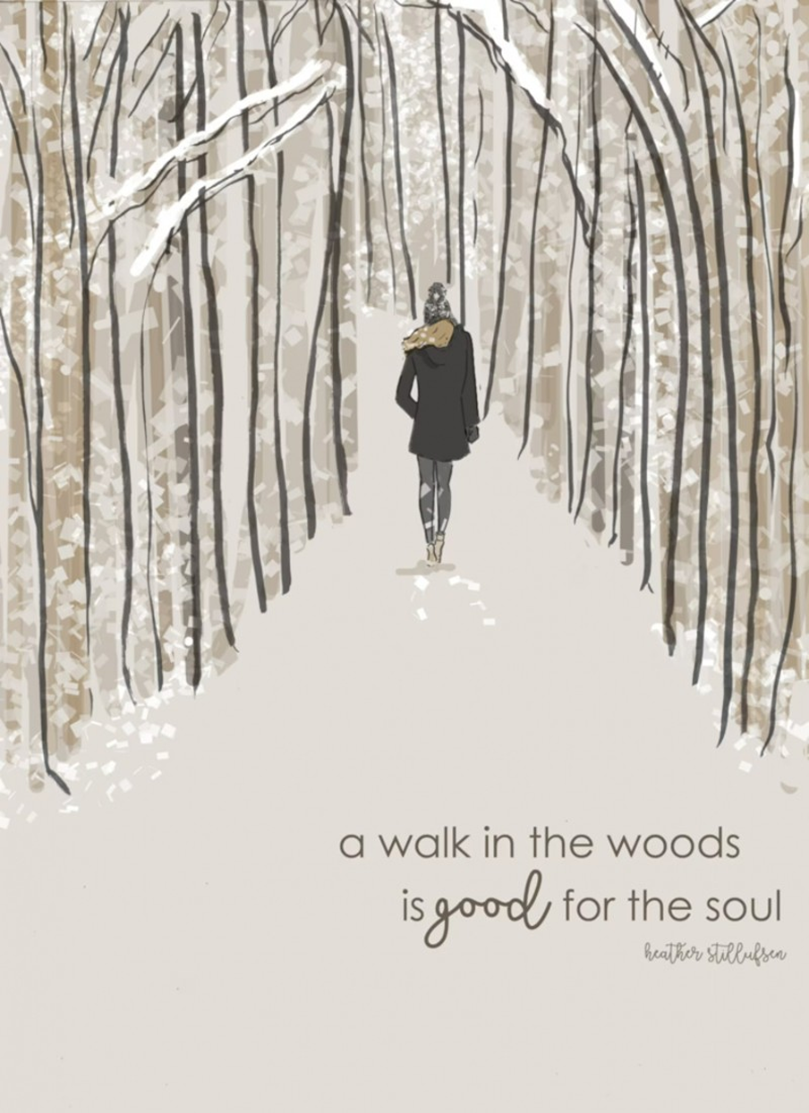 a walk in the woods Heather Stillufsen