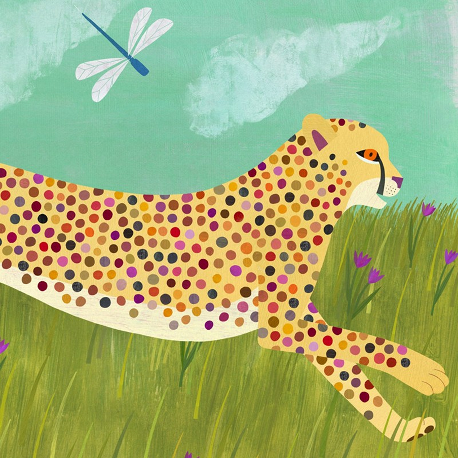 cheetah