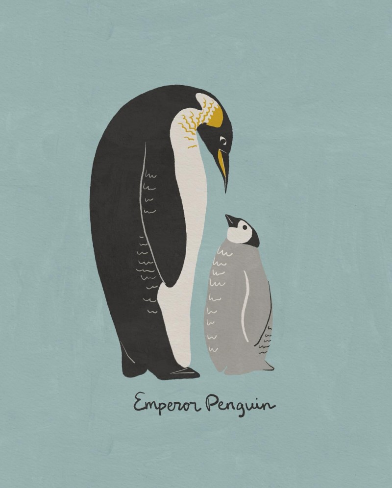 penguins