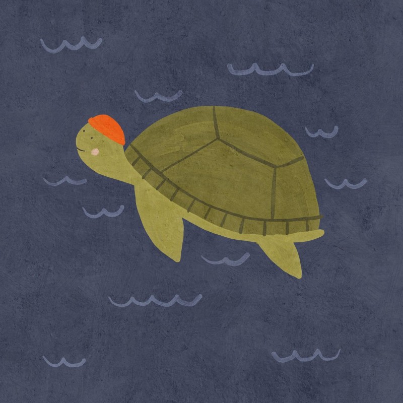 sea turtle Betsy Siber