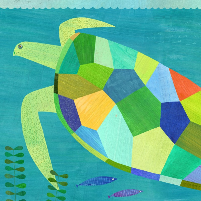 sea turtle