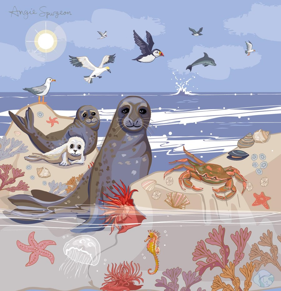 seals Art by Angie