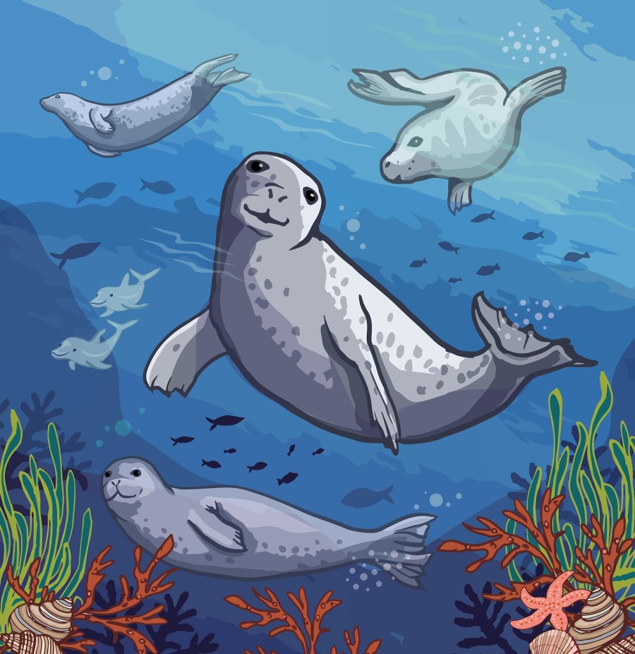 seals Art by Angie