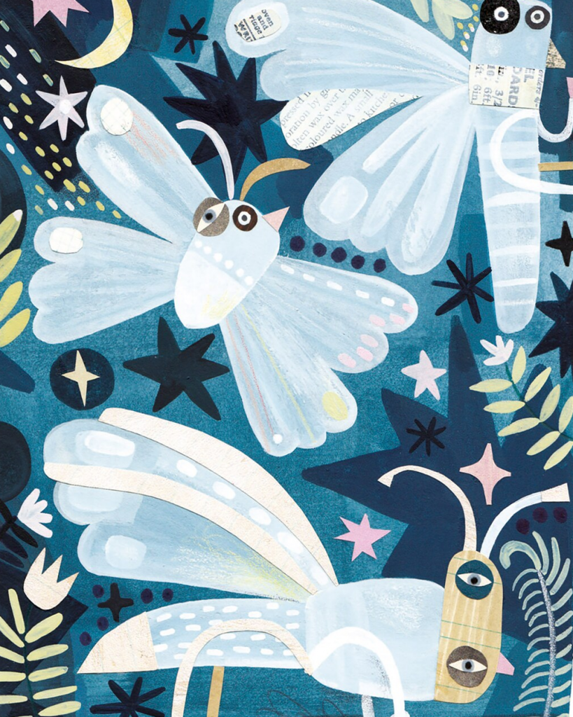 silk worm moths Nikki Pontin