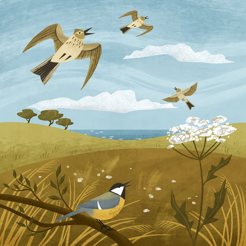 skylarks