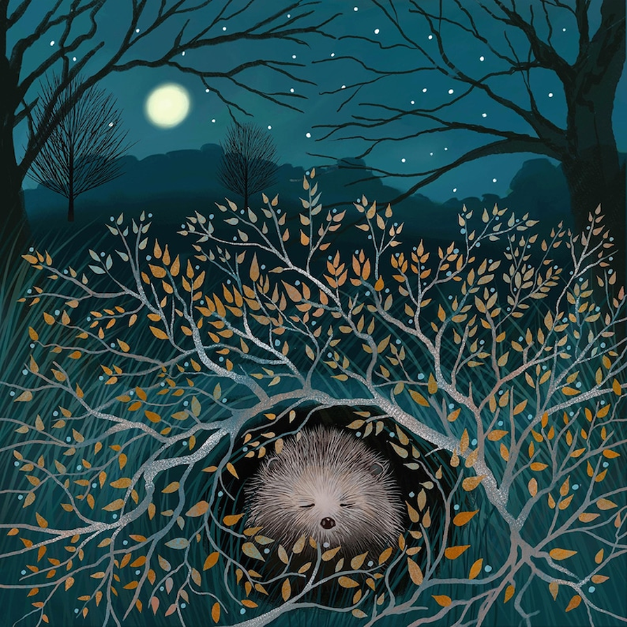 sleeping hedgehog