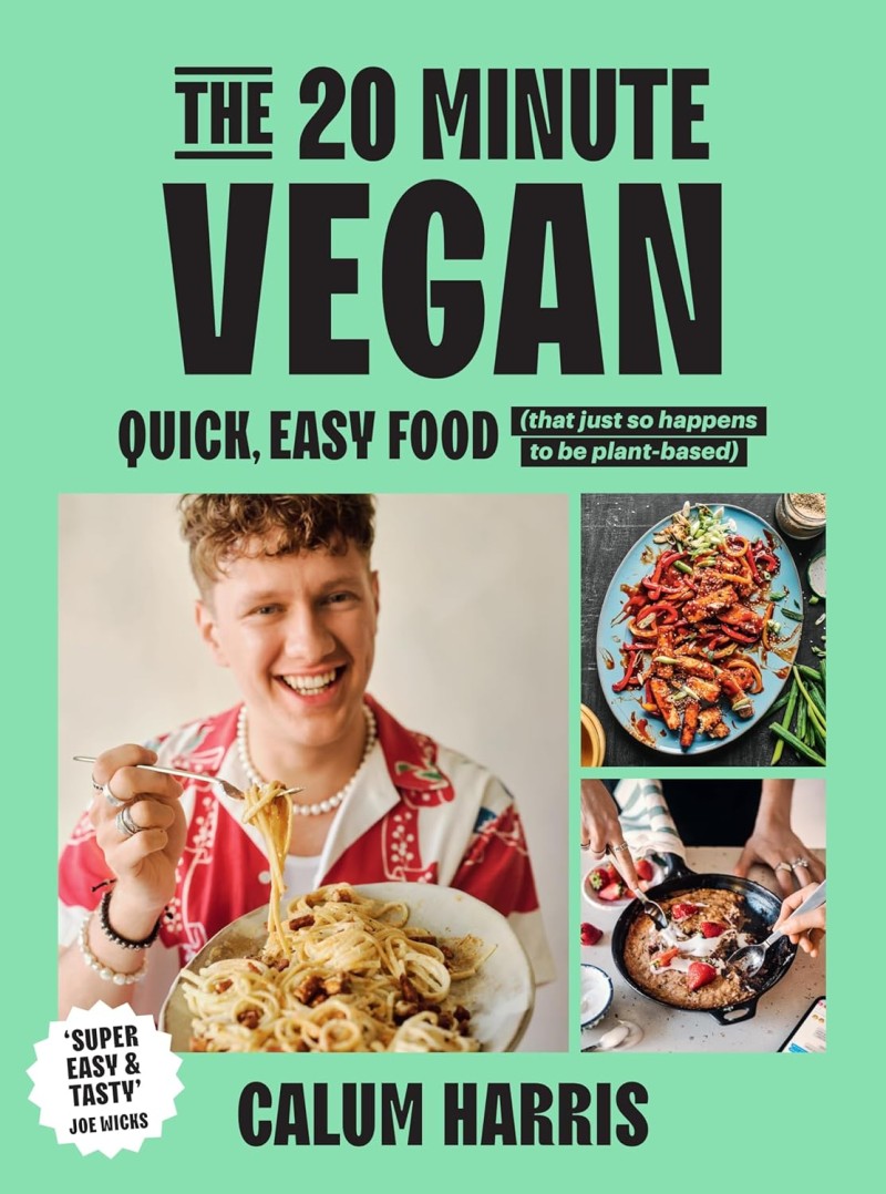 the 20 minute vegan