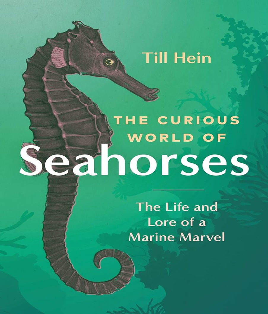 the curioius world of seahorses 