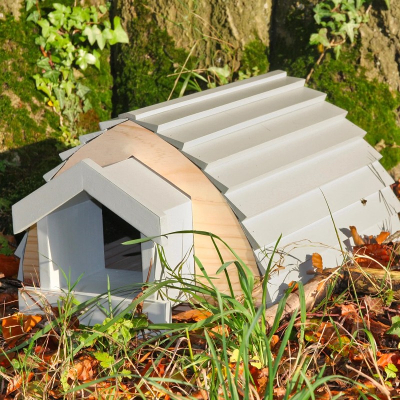 the hedgehog barn