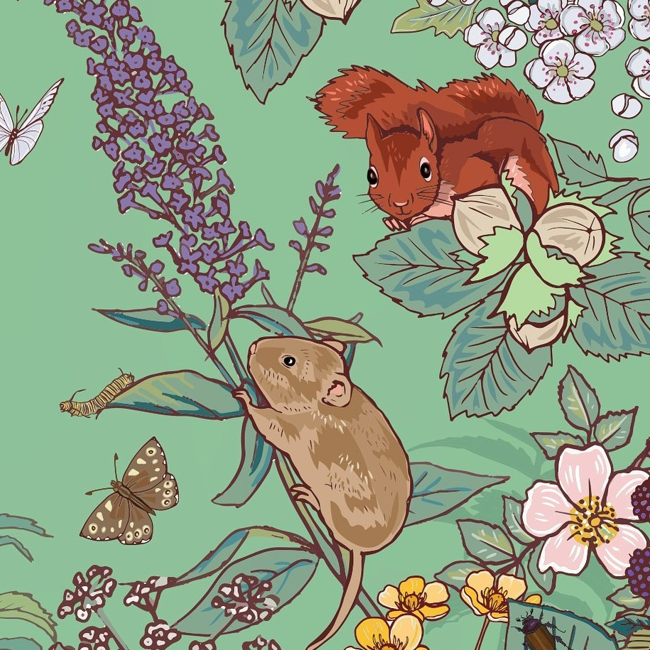 vole with squirrel