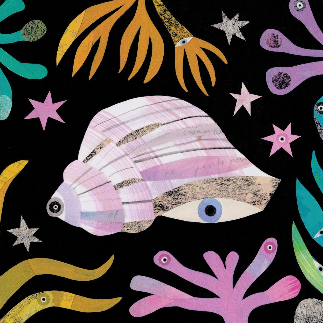 whelk