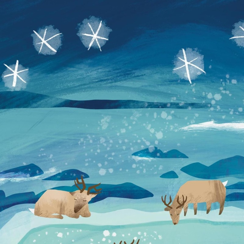 wild reindeer